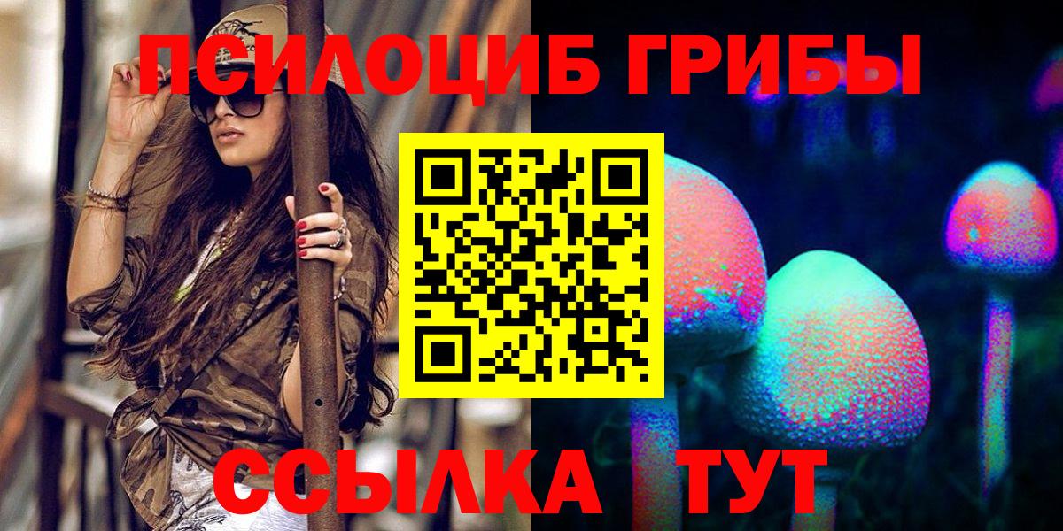 Тосно  Галлюциногенные грибы прущие грибы  Вход с VPN 